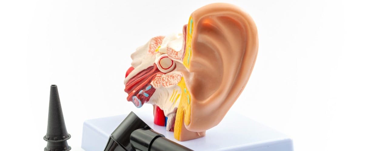 attachment-or-otolaryngology-appointment-deafness-prevention-and-hearing-organ-picture-id1200000869-min