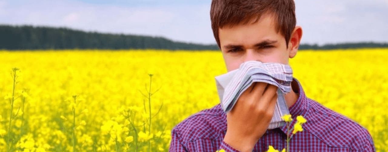 attachment-everything-you-need-to-know-about-hayfever-season