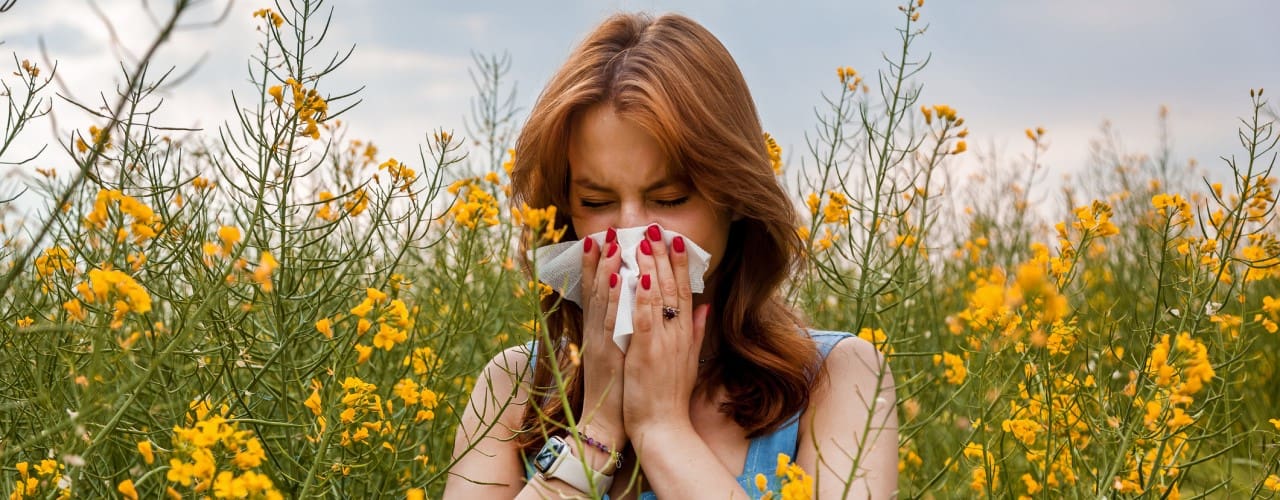 attachment-how-to-know-if-you-have-allergies-or-a-sinus-infection