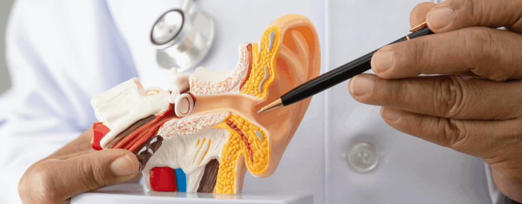 when-should-you-see-ears-nose-throat-consultants-and-what-do-they-treat