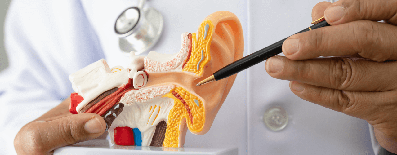 when-should-you-see-ears-nose-throat-consultants-and-what-do-they-treat