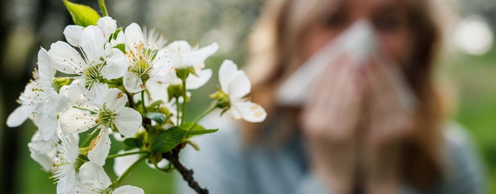 hay-fever-or-nasal-polyps